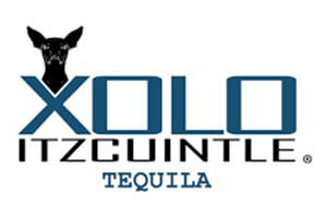 Xolo Itzcuintle